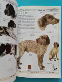 宠物饲养~~~~~~~~~名犬 全世界300多种名犬的彩色图鉴（满50包邮）