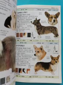 宠物饲养~~~~~~~~~名犬 全世界300多种名犬的彩色图鉴（满50包邮）