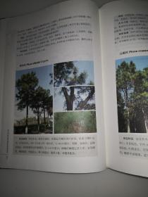 苏州市林木种质资源树种图谱（上、下）