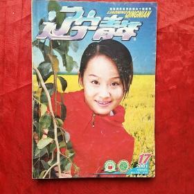 辽宁青年2001.17
（扩版为96页第一期）