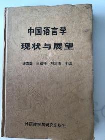 中国语言学现状与展望