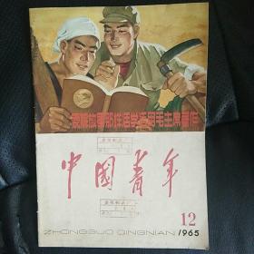 中国青年1965第12期 学毛著 讲草命故事 。。