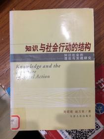 知识与社会行动的结构：知识社会的理论与实践研究