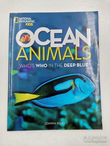 Ocean Animals: Who's Who in the Deep Blue