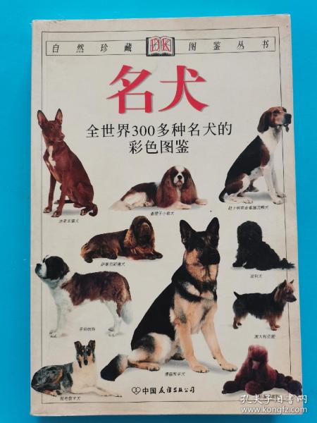 宠物饲养~~~~~~~~~名犬 全世界300多种名犬的彩色图鉴（满50包邮）