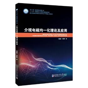 介观电磁均一化理论及应用