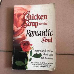 chicken soup for the Romantic Soul