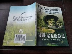 汤姆索亚历险记