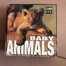 Baby Animals