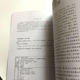 电网覆冰灾害预测与风险管理