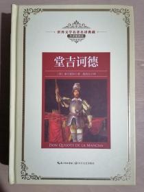 《世界文学名著名译典藏·全译插图本：堂吉诃德》（大32开精装）九五品