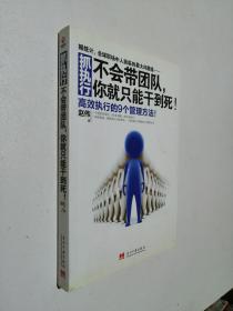 抓执行：不会带团队，你就只能干到死！，