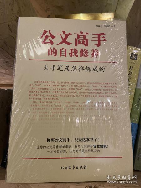 公文高手的自我修养：大手笔是怎样炼成的