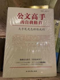 公文高手的自我修养：大手笔是怎样炼成的