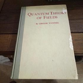 Quantum theory of fields 量子场论