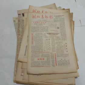 湖北集邮报(创刊等41期合售)