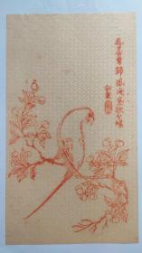 老信笺35 清代 徽州 版画 花鸟 蜡笺 22*12cm 8成