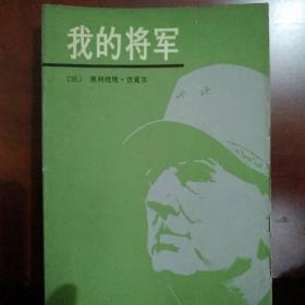 我的将军