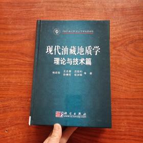 正版现货 《现代油藏地质学理论与技术篇 》精装