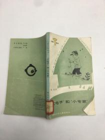“大电子”和“小专家”