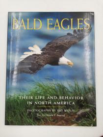 Bald Eagles: Their Life and Behavior in North America