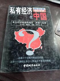 私有经济在中国:私有经济嬗变的现实、困惑与趋势