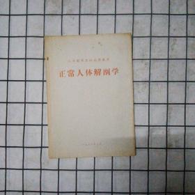 正常人体解剖学