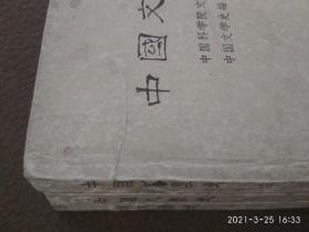 中国文学史 (书右上角有水渍，第二册后二十页有水渍，少量划线)请仔细看图