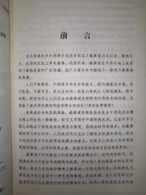 名家经典：截拳道肘膝、脚踢功夫汇宗（技法全图解）472页大厚本仅印5100册