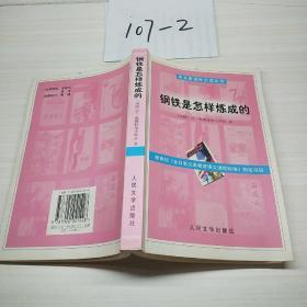 钢铁是怎样炼成的