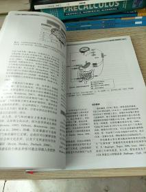 肥胖症：从基础到临床（正版、现货，前后书壳被撕 内容完好 品见图 介意者慎拍，避免争议）