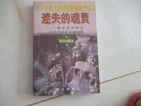 迷失的灵魂：湖北荆沙特大抢劫团伙案侦破纪实1998年