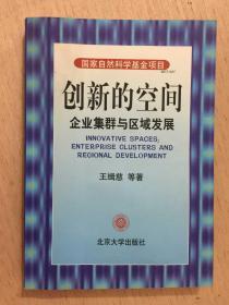 创新的空间 企业集群与区域发展