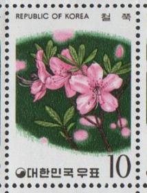 韩国邮票，1975年观赏植物花卉，杜鹃花，181021