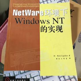 NetWare环境下Windows NT的实现