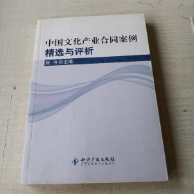 中国文化产业合同案例精选与评析