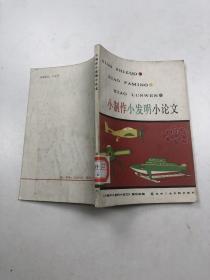 小制作 小发明 小论文