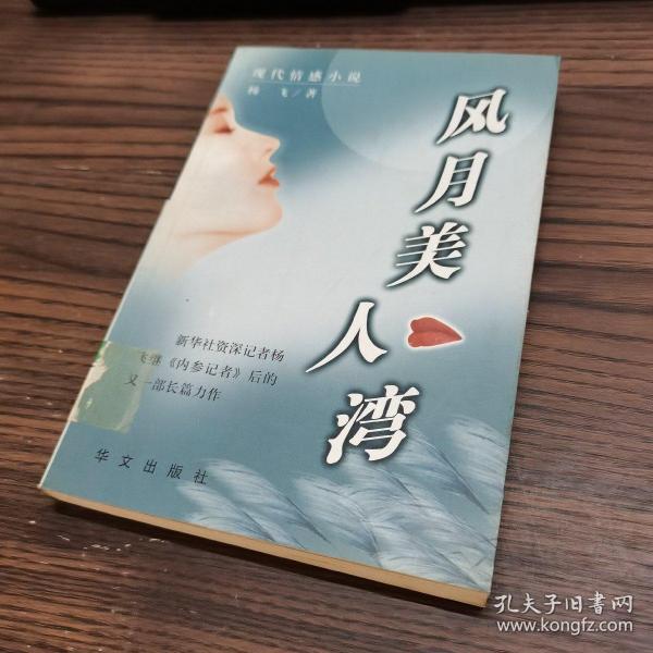 风月美人湾:现代情感小说