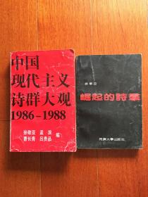 中国现代主义诗群大观1986—1988，崛起的诗群