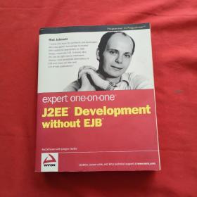 Expert One-on-One J2EE Development without EJB