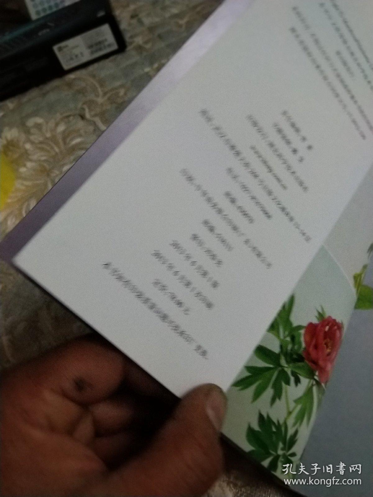 点击查看原图 牡丹芍药品鉴:园艺爱好者的典藏名品