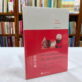 爱的宝藏，不是一本传统意义上的小说，没有完整、跌宕起伏的故事情节，结构松散，甚至有些支离破碎。行文多跳跃，饱含片断式的丰富联想。作者称之为“超小说”。这是一部时空穿梭的作品、一场灵魂的对话、一次爱的探险之旅，并向法国19世纪大文豪司汤达致敬。