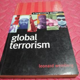 全球恐怖主义 global terrorism