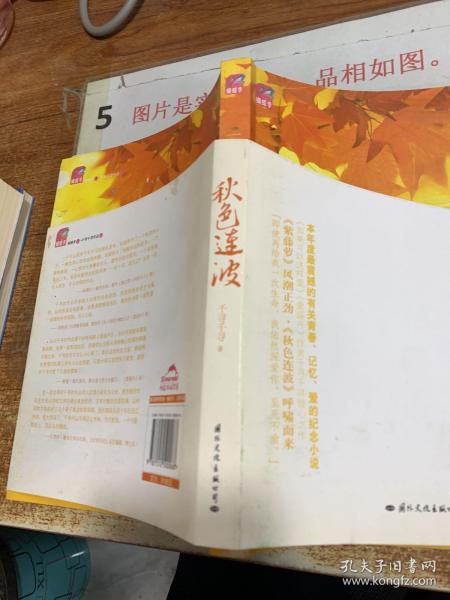 秋色连波：一个人的地老天荒