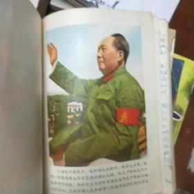 塑料红卫兵日记