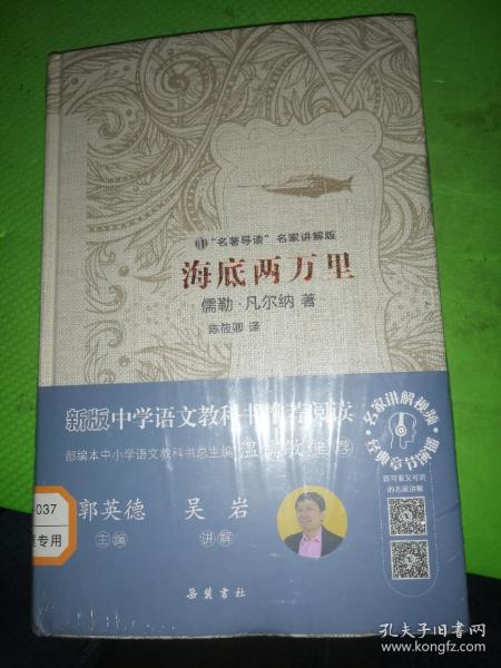 文学名著：海底两万里（“名著导读”名家讲解版）