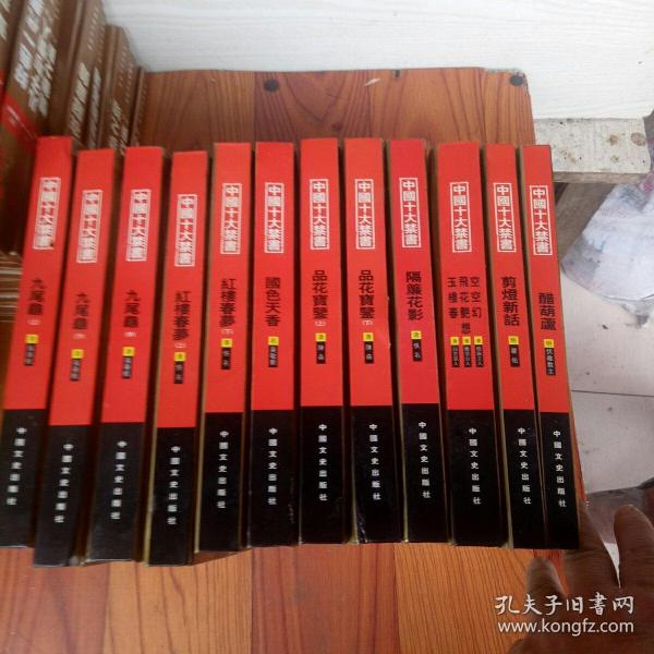 中国十大禁书：《剪燈新话》《醋葫芦》《品花宝鉴》《隔簾花影》《国色天香》《飞花艳想》《空空幻》《玉楼春》《红楼春梦》 《九尾龟》