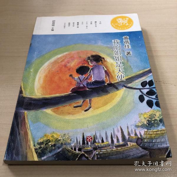 麒麟中国新文学少年读本·我的姐姐是天使