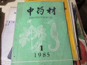 中药材杂志1985年第1期