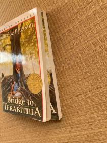 Bridge to Terabithia/纽伯瑞儿童文学金奖